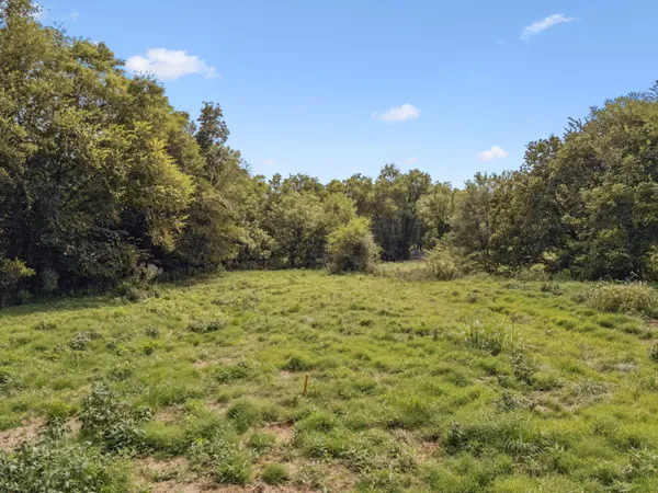 a view of a field with trees in the background