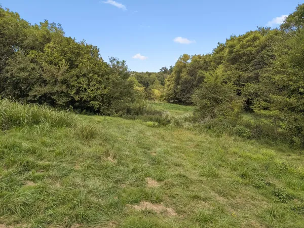a view of a field of grass and trees
