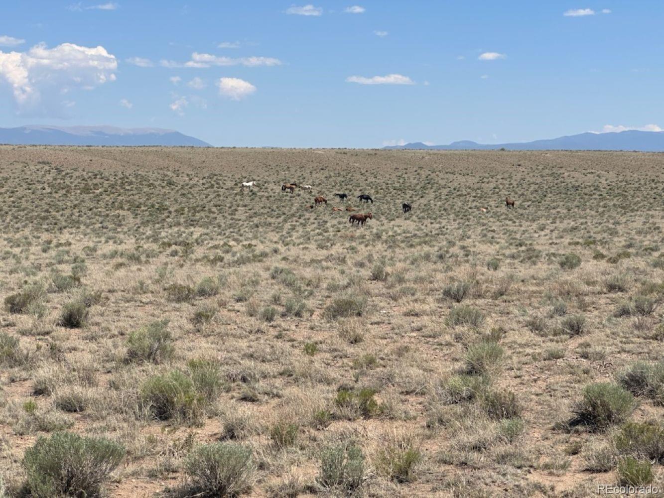 11 Leo Road Sanford, CO 81151 - Photo 14 of 18