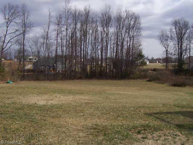 4565 Ellisboro Road Stokesdale, NC 27357 - Photo 3 of 9 Other.