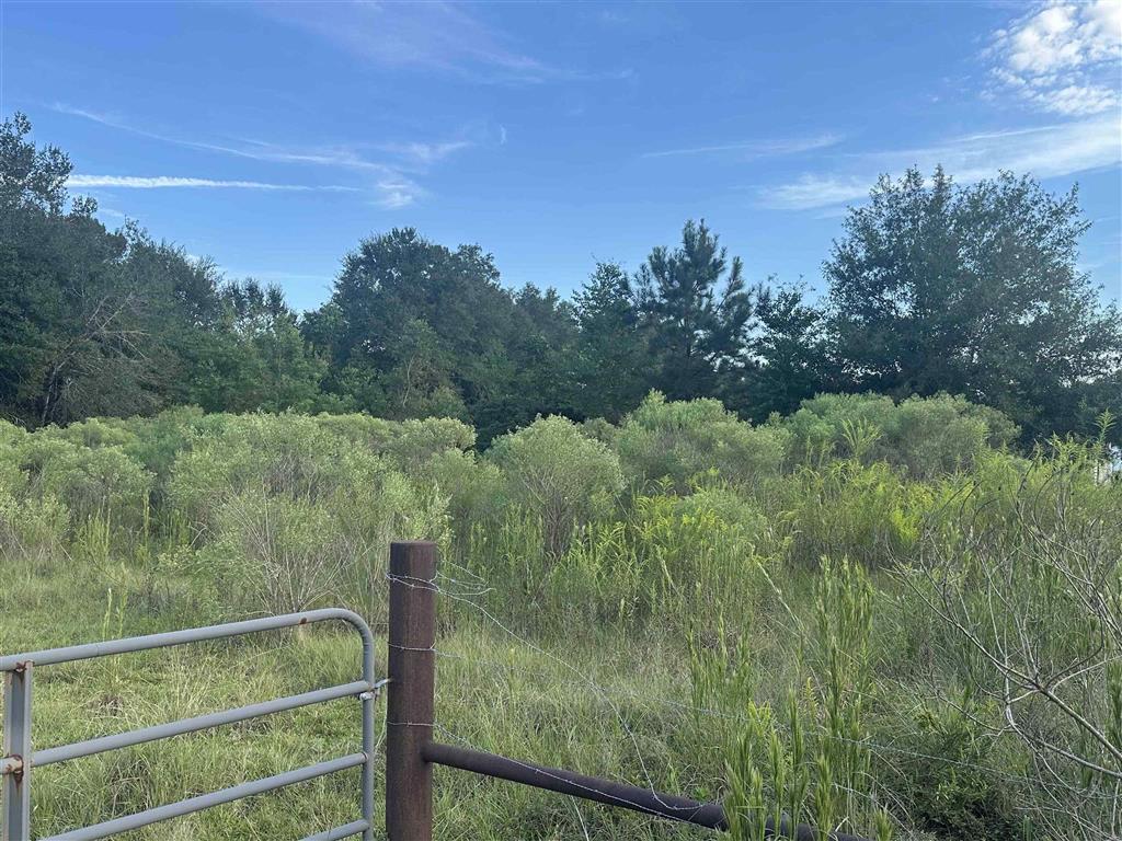 5816 Topsy Bel Road Ragley, LA 70657 - Photo 2 of 6