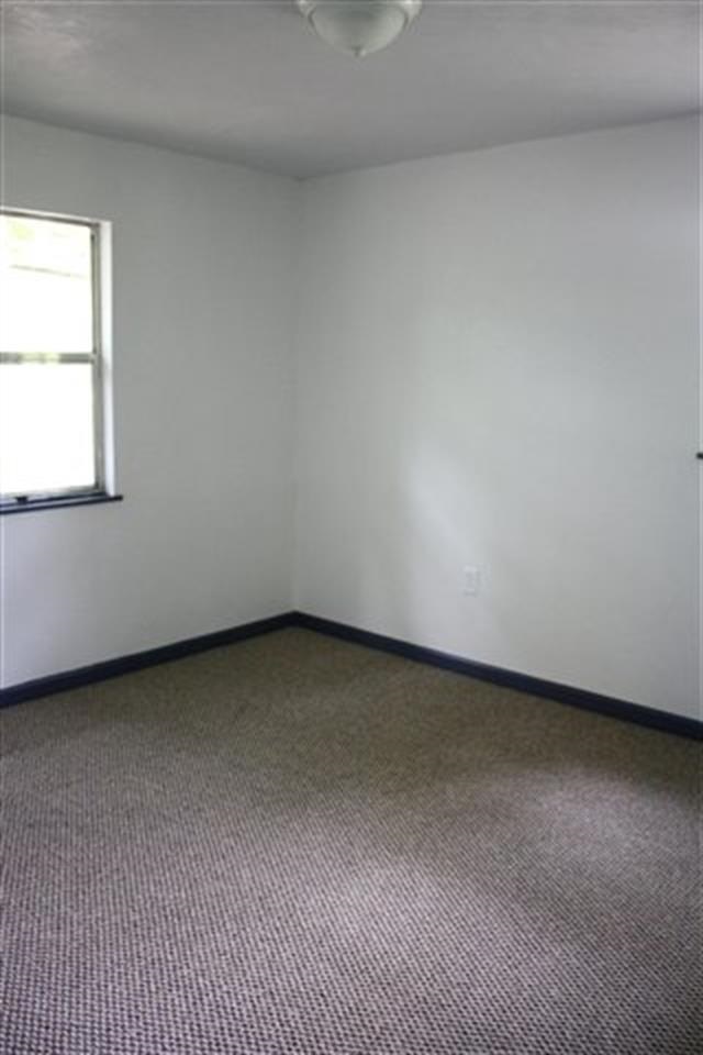 5675 St Joe Road Tallahassee, FL 32311 - Photo 6 of 16 Gallery Image 6