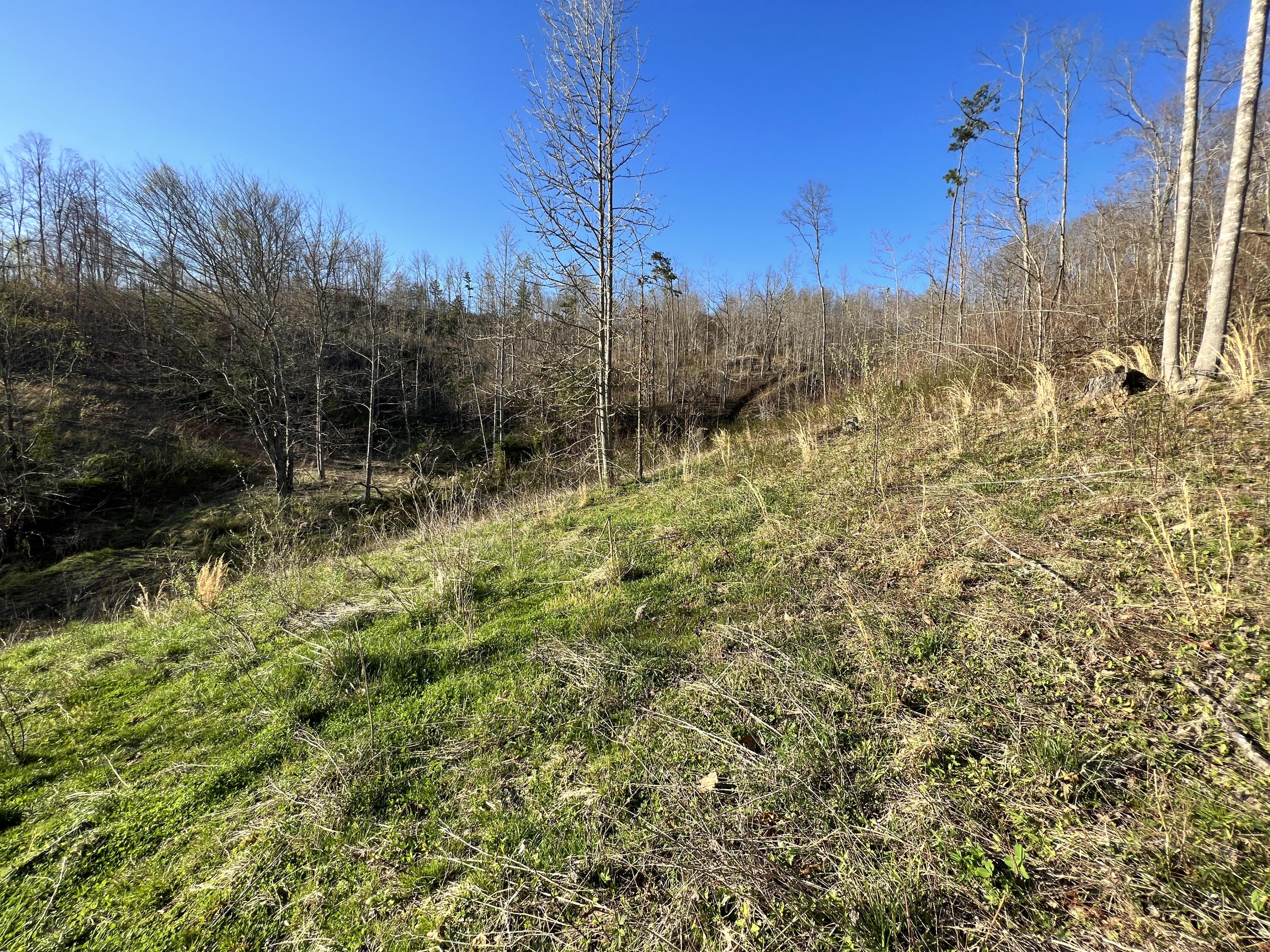 2905 Tidal Wave Road Corbin, KY 40701 - Photo 24 of 37 03FEA15F-DC09-4CB9-B401-5FB27BF36601