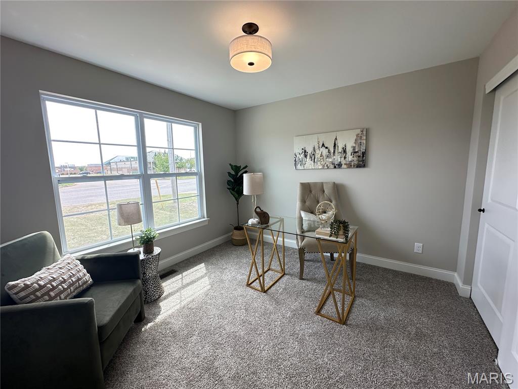 4947 Butler Hill Road St. Louis, MO 63128 - Photo 8 of 22 Gallery Image 8