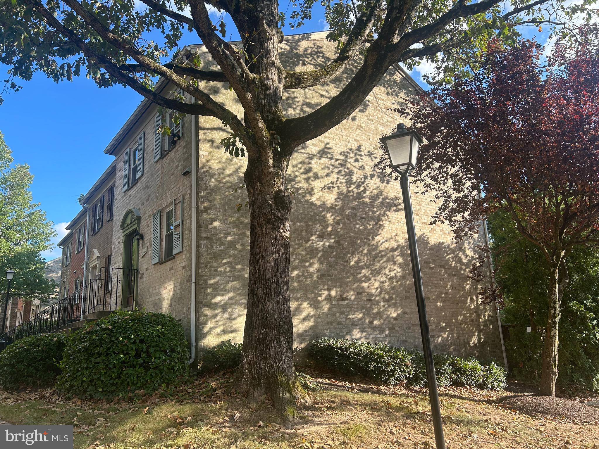 a large tree in the middle of a yard
