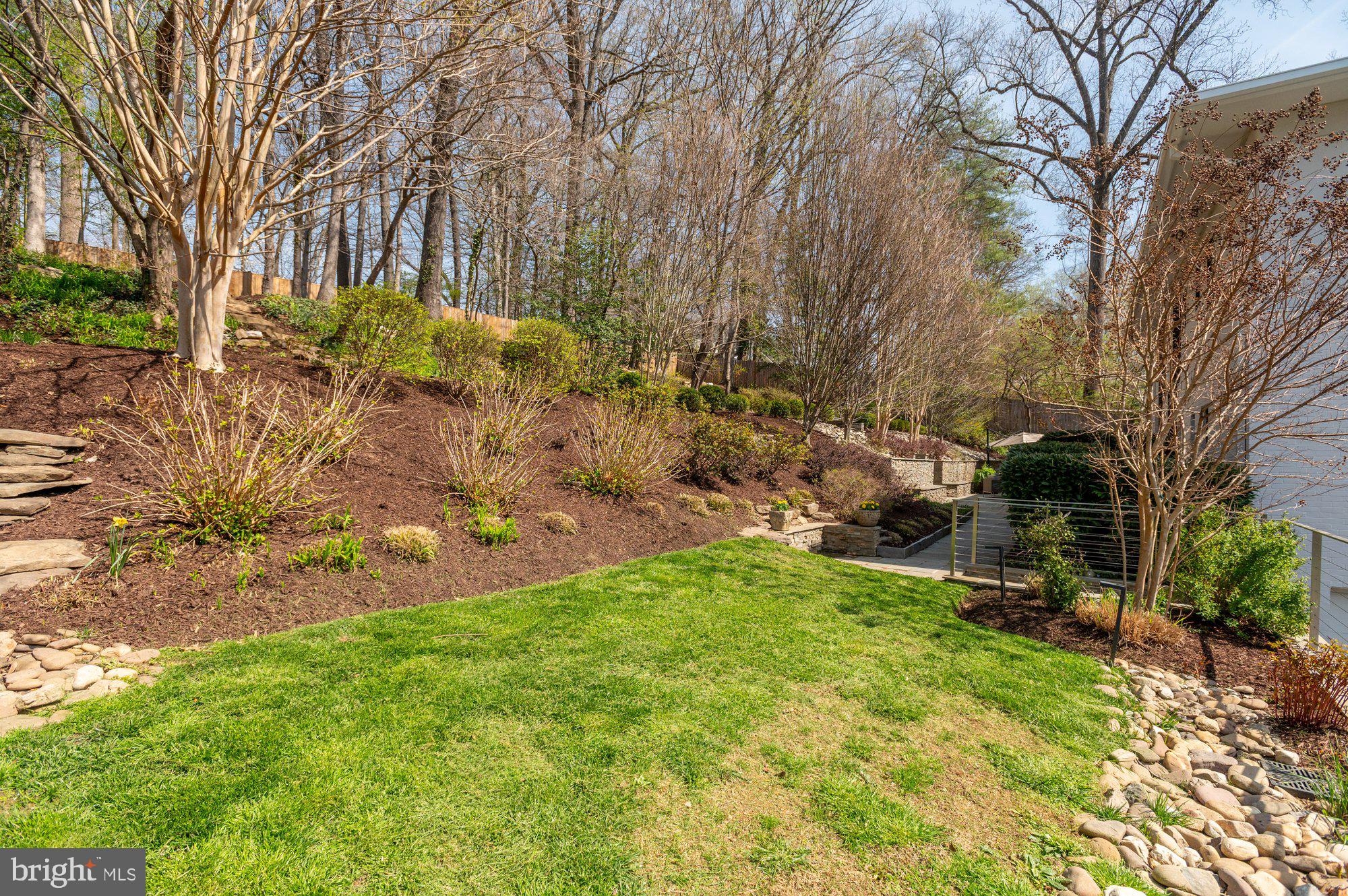 6016 Chesterbrook Road McLean, VA 22101 - Photo 61 of 67 a view of backyard with trees