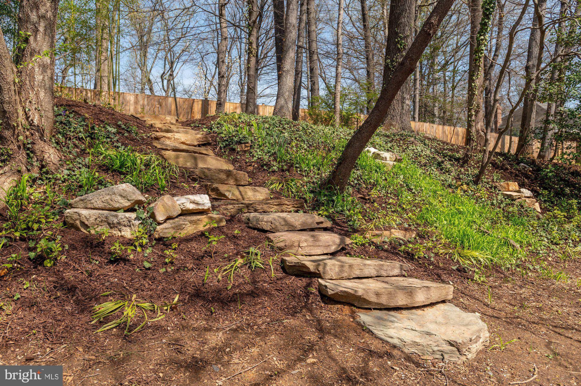 6016 Chesterbrook Road McLean, VA 22101 - Photo 62 of 67 a backyard of a house with lots of green space