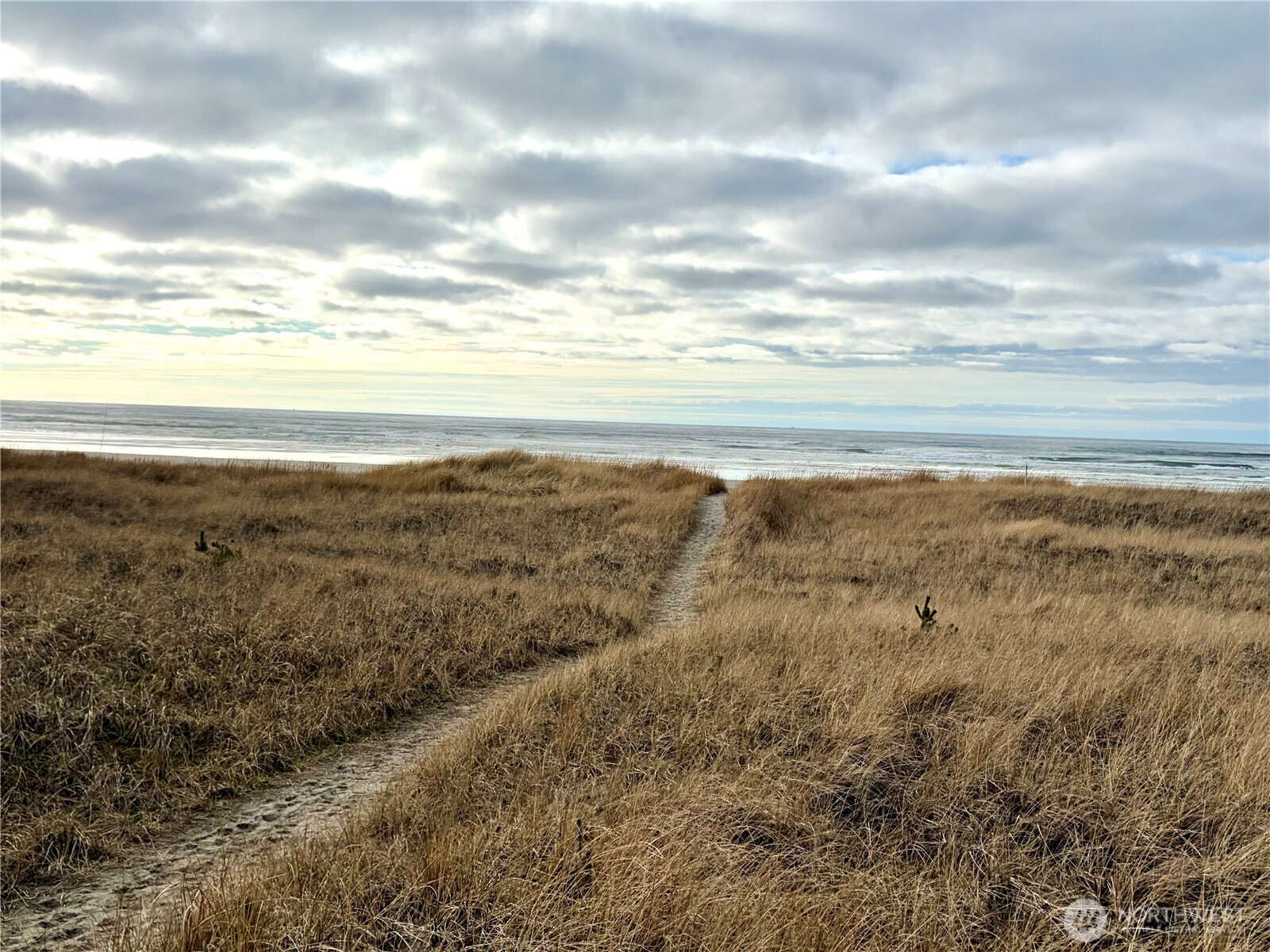1215 199th Place Long Beach, WA 98631 - Photo 31 of 36