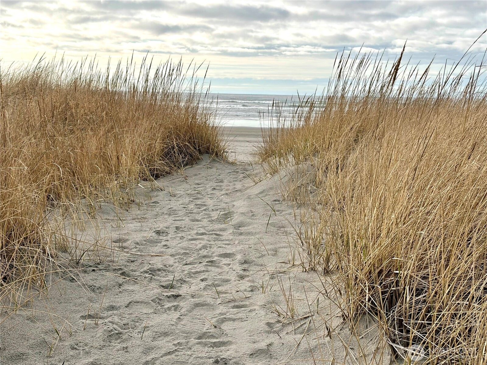 1215 199th Place Long Beach, WA 98631 - Photo 34 of 36