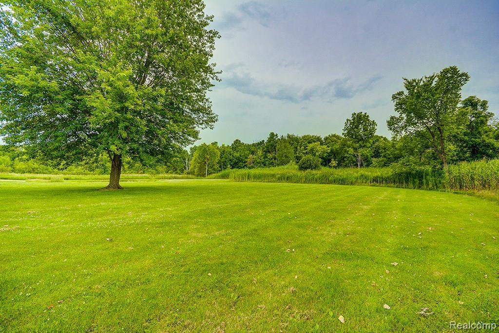 5454 Dexter-Pinckney Road Dexter, MI 48130 - Photo 4 of 43 39.jpg