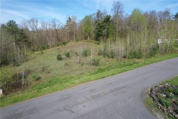 $18,500 | 119 Hickory Hill Road, Otego, NY 13825