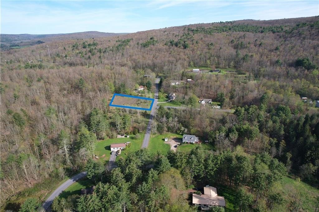 119 Hickory Hill Road Otego, NY 13825 - Photo 6 of 10