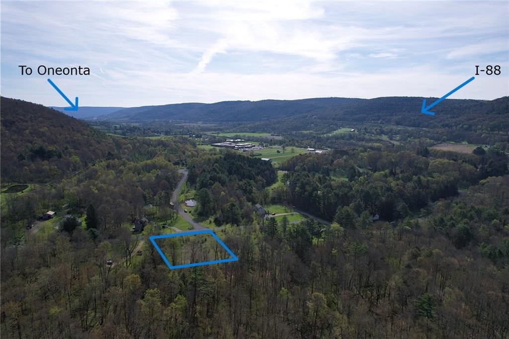 119 Hickory Hill Road Otego, NY 13825 - Photo 7 of 10