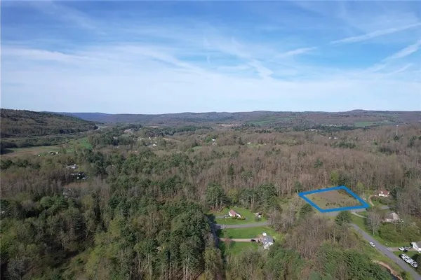 $18,500 | 119 Hickory Hill Road, Otego, NY 13825
