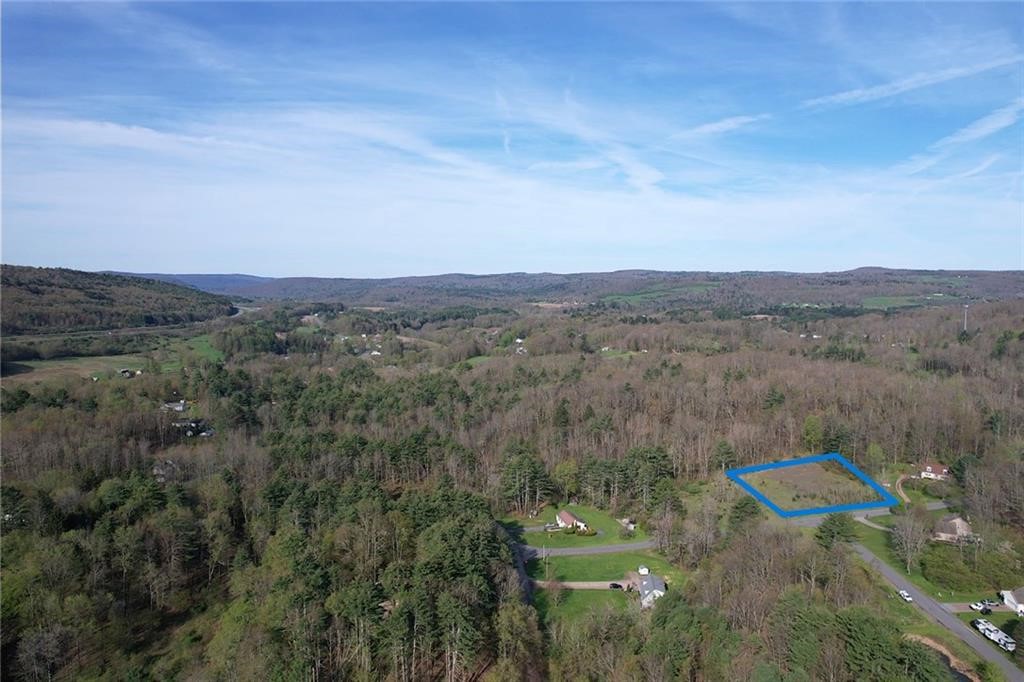 119 Hickory Hill Road Otego, NY 13825 - Photo 9 of 10