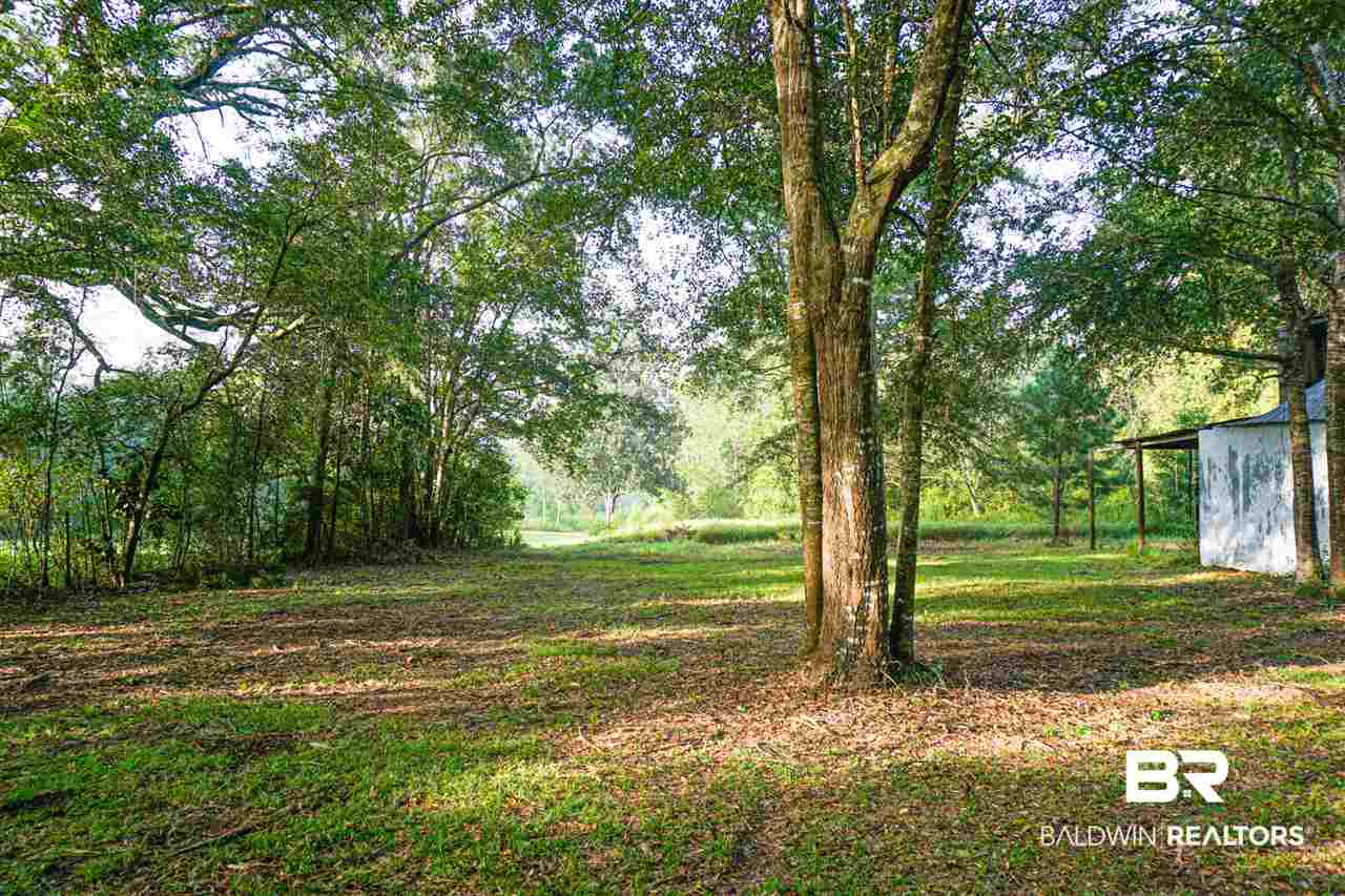 5541 Dogwood Trail Eight Mile, AL 36613 - Photo 22 of 26
