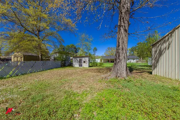 a view of a yard with plants and a large tree