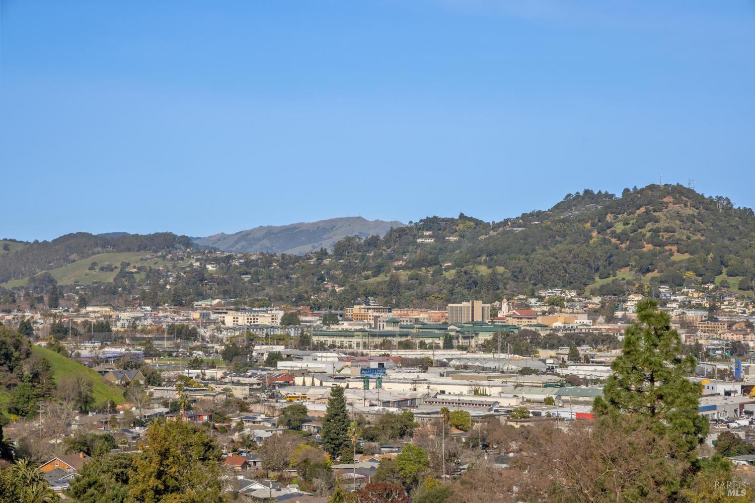 81 Rose Street San Rafael, CA 94901 - Photo 40 of 67 Downtown San Rafael and he local hills and valleys.