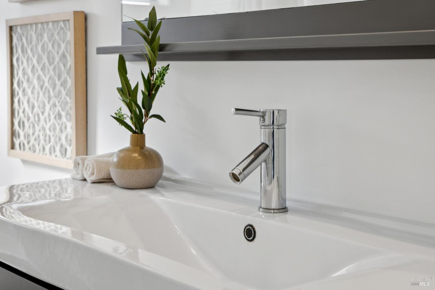 81 Rose Street San Rafael, CA 94901 - Photo 50 of 67 a bathroom sink with a potted plant
