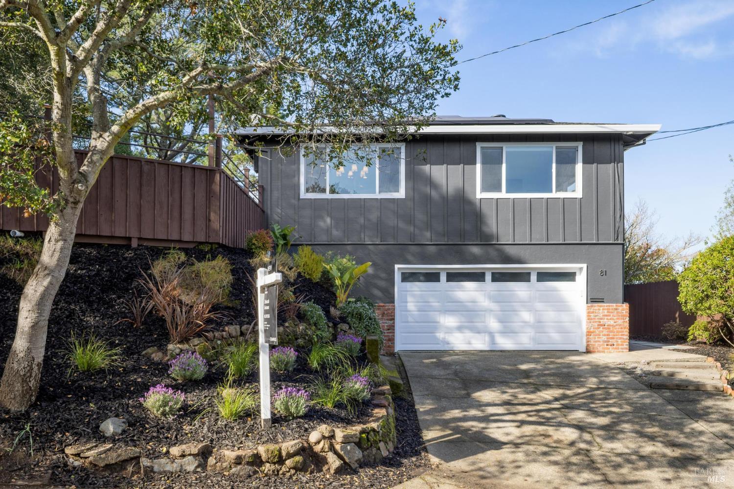 81 Rose Street San Rafael, CA 94901 - Photo 66 of 67 a backyard of a house with lots of plants and trees