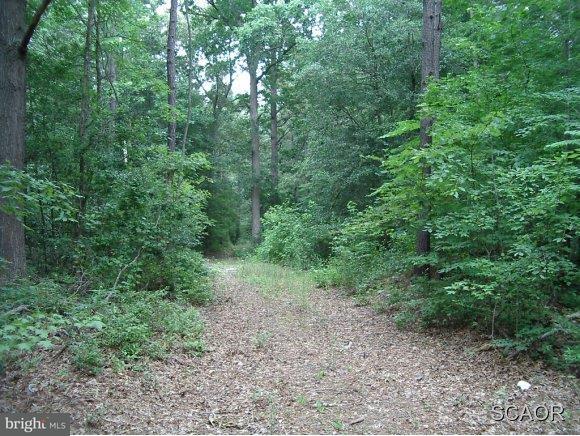 Harmony Cemetary Road, Unit 3656 Millsboro, DE 19966 - Photo 1 of 3 Gallery Image 1