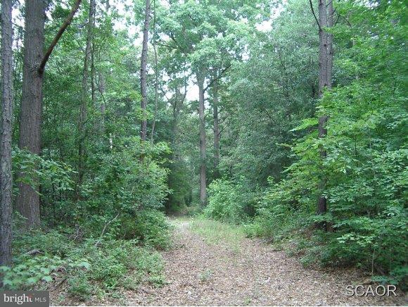 Harmony Cemetary Road, Unit 3656 Millsboro, DE 19966 - Photo 2 of 3 Gallery Image 2
