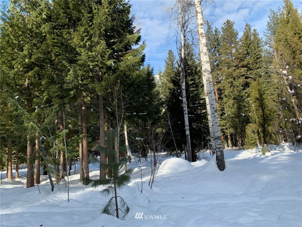 14 Mazama Rocks Road Mazama, WA 98833 - Photo 2 of 34 Gallery Image 2