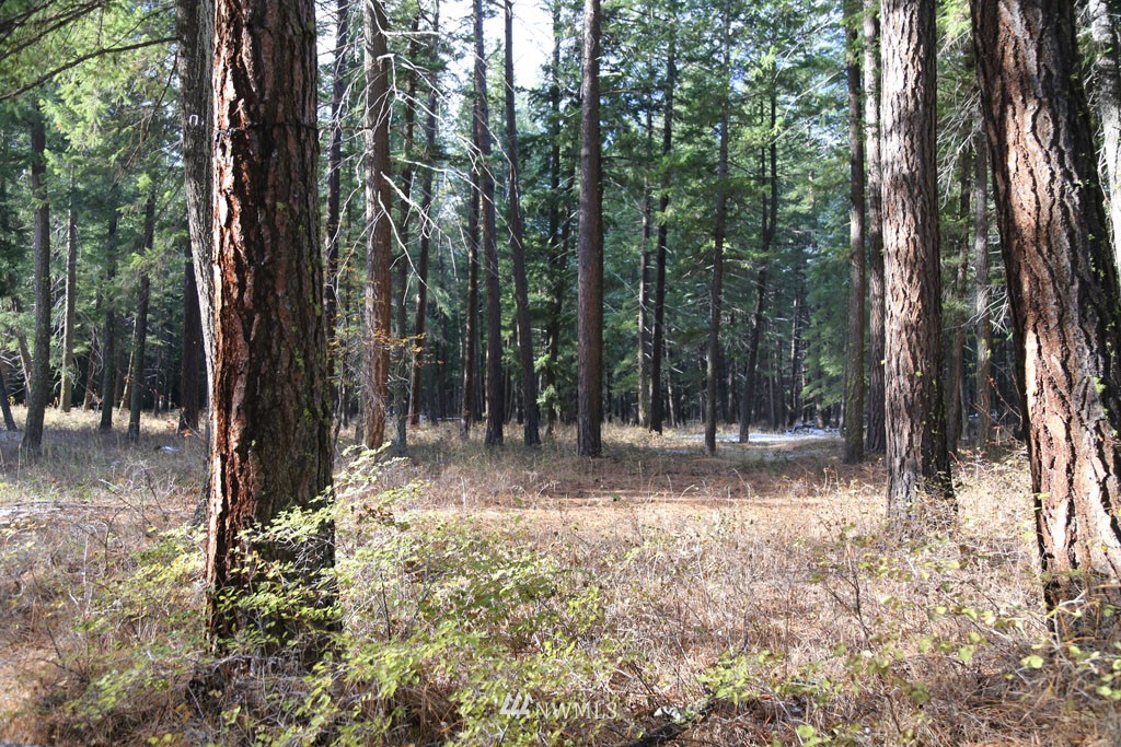 14 Mazama Rocks Road Mazama, WA 98833 - Photo 16 of 34 Gallery Image 16
