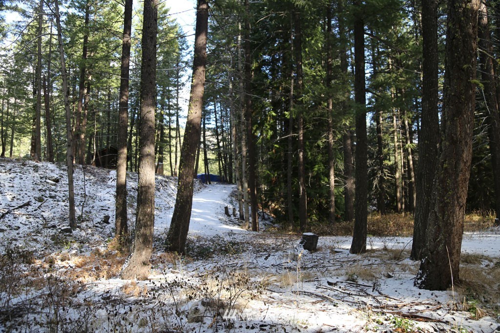 14 Mazama Rocks Road Mazama, WA 98833 - Photo 30 of 34 Gallery Image 30