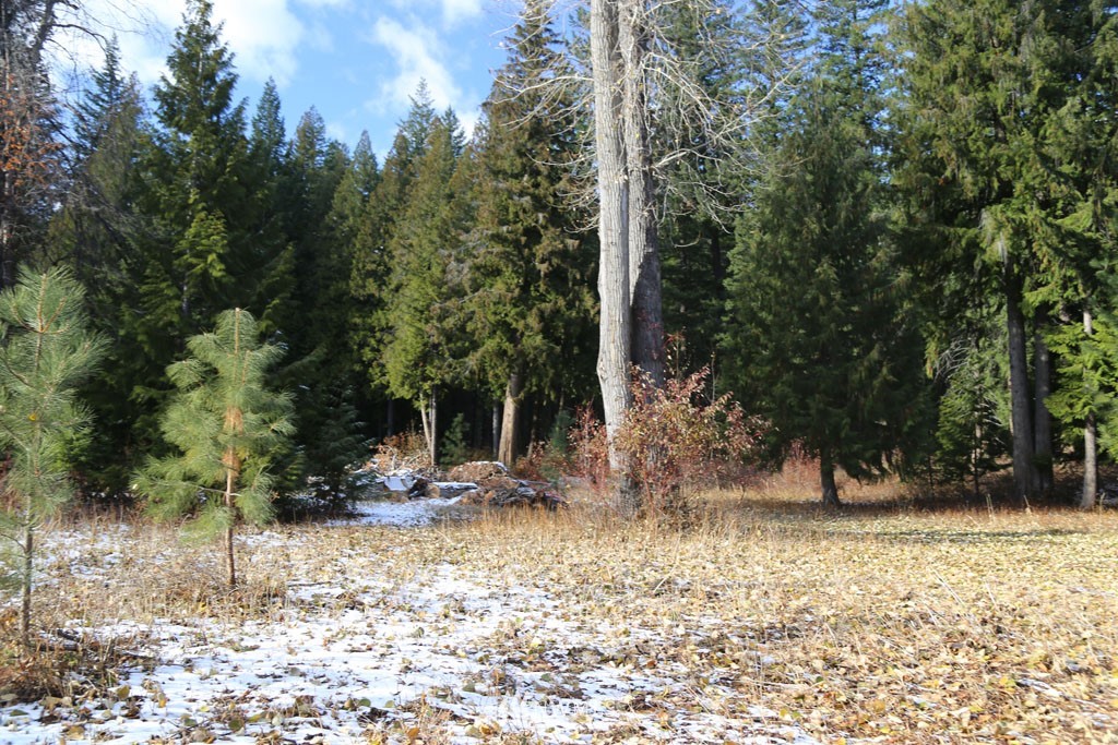 14 Mazama Rocks Road Mazama, WA 98833 - Photo 33 of 34 Gallery Image 33