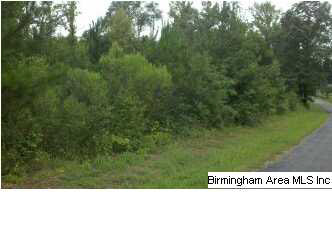 Wester Drive, Unit 37 Ragland, AL 35131 - Photo 1 of 3
