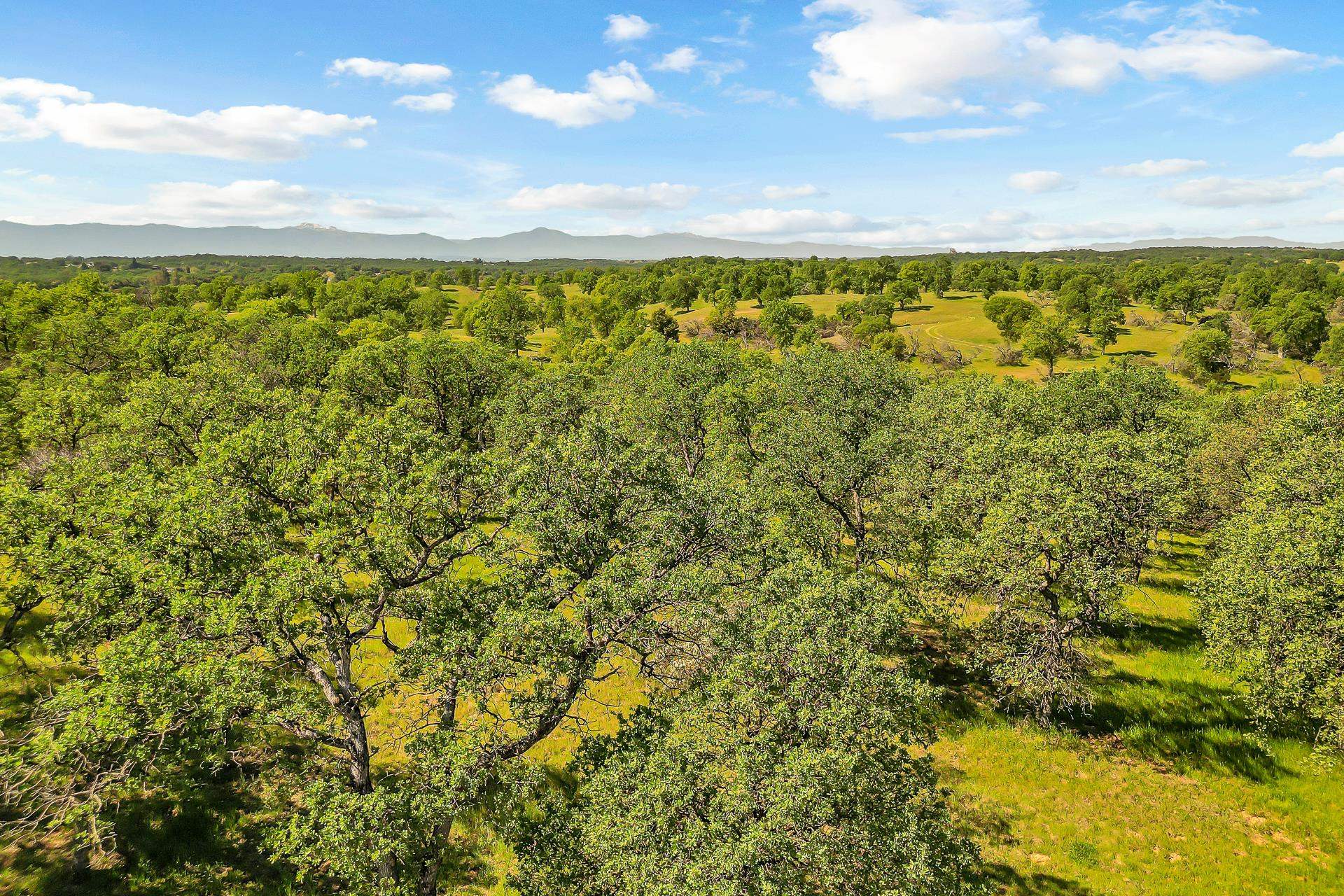 13440 Roper Road Red Bluff, CA 96080 - Photo 72 of 74