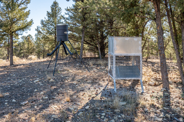 1955 West Mammoth Crk Road Hatch, UT 84735 - Photo 21 of 52 Hunting blind and feeder
