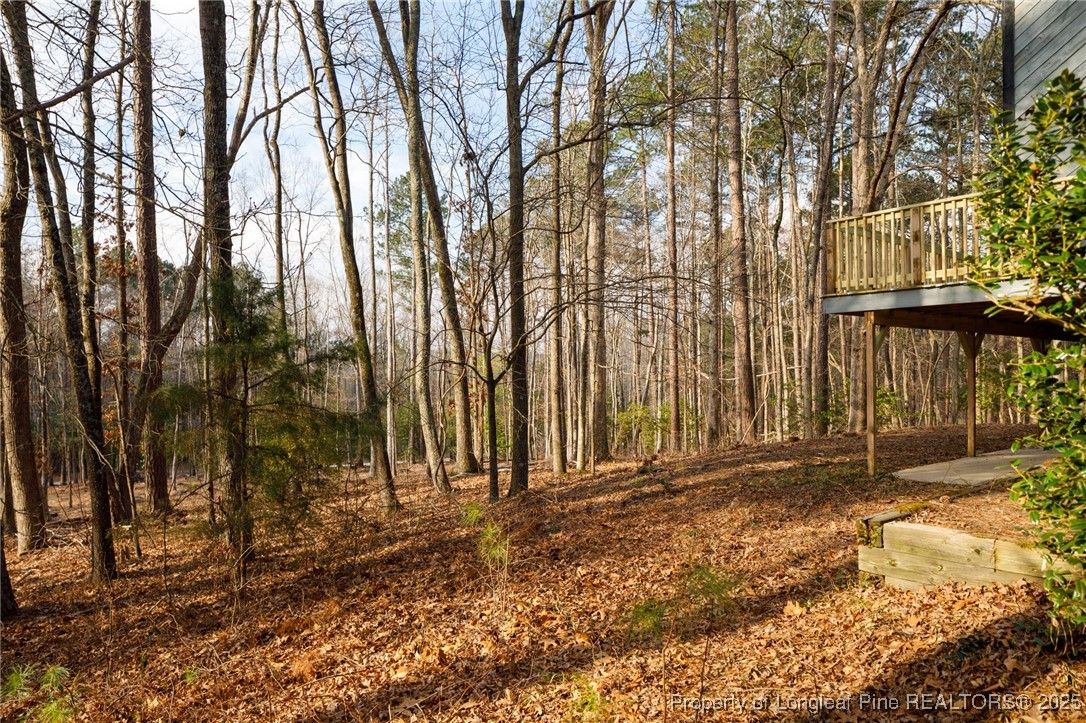 107 Poplar Street Carthage, NC 28327 - Photo 39 of 40 Gallery Image 39
