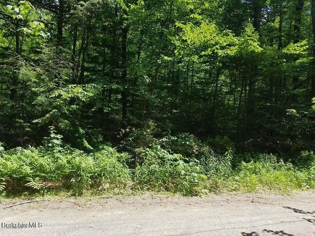 $16,900 | 0 Winter Drive, Becket, MA 01223