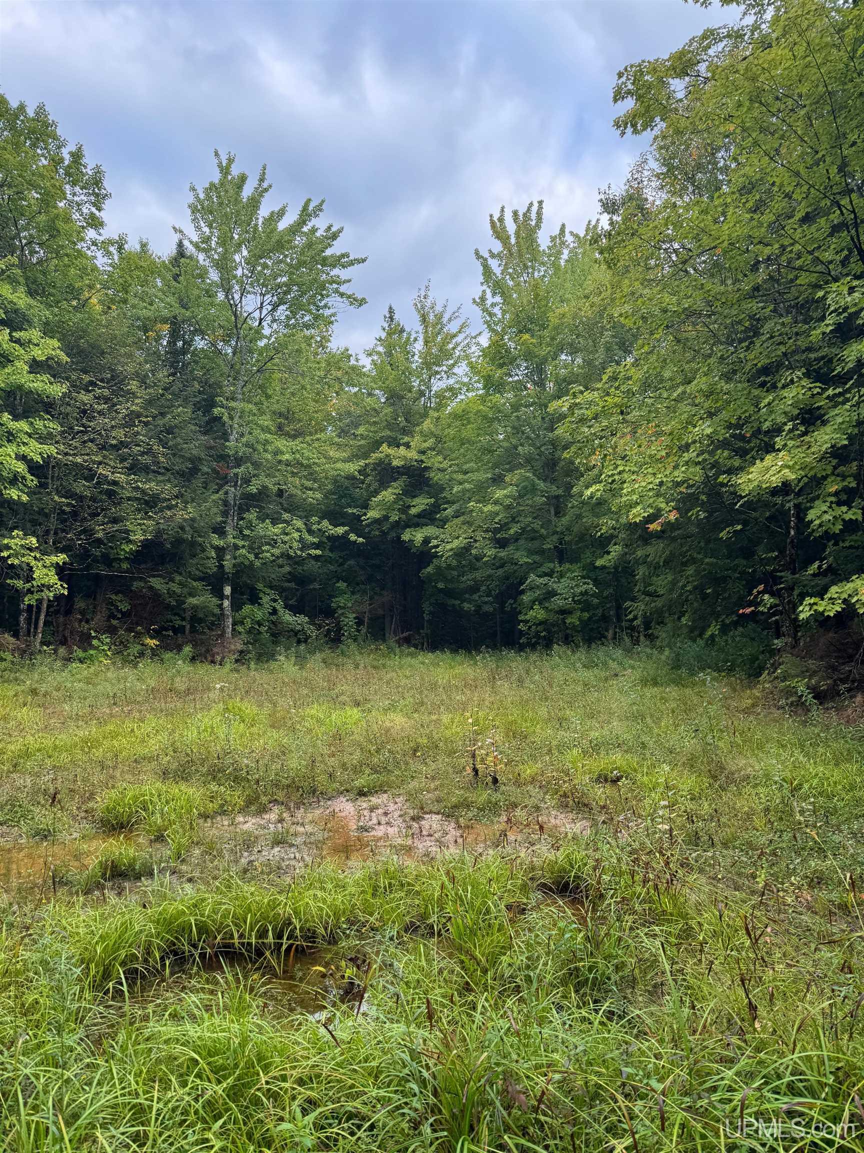Tbd240 South Firesteel Road Ontonagon, MI 49953 - Photo 11 of 16