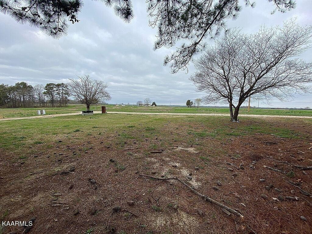4135 Sidonia Road Sharon, TN 38255 - Photo 13 of 13 a big yard with lots of green space