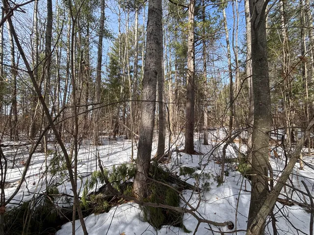 $34,900 | 7.12 North A N Abbe Road, Comins, MI 48619