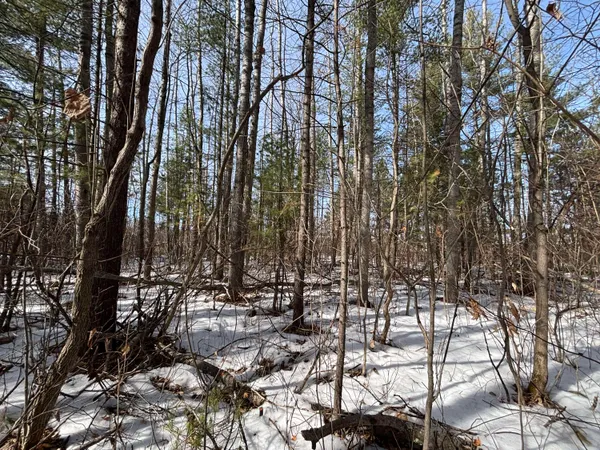 $34,900 | 7.12 North A N Abbe Road, Comins, MI 48619