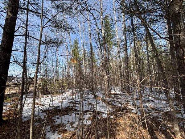 $34,900 | 7.12 North A N Abbe Road, Comins, MI 48619