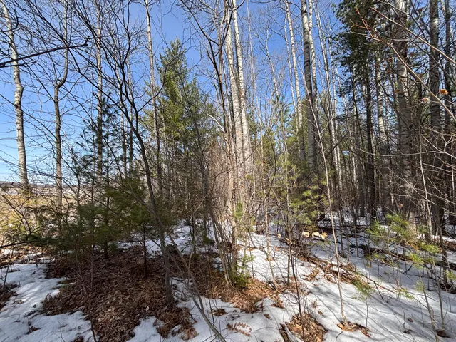 $34,900 | 7.12 North A N Abbe Road, Comins, MI 48619