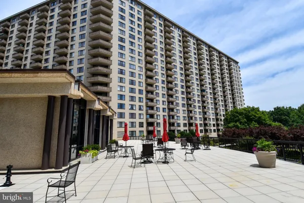 a view of a park with large trees