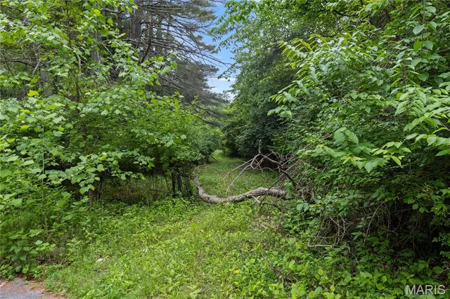 $800,000 | 3700 Pioneer Drive, Imperial, MO 63052