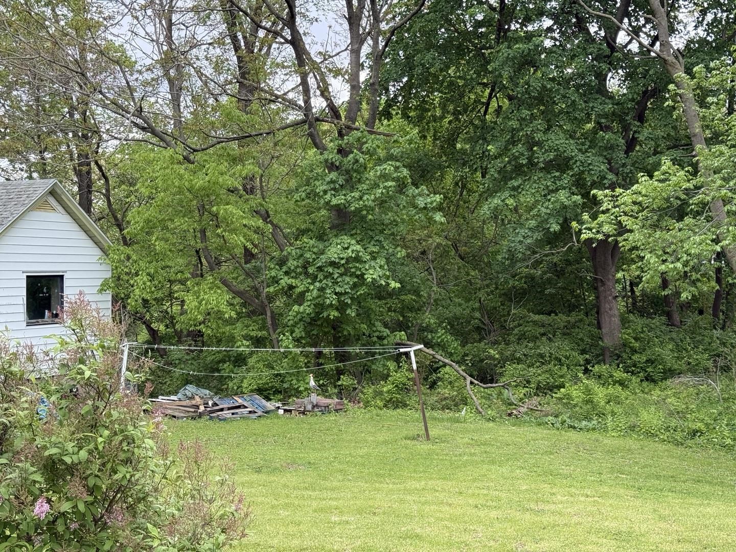 413 East St Paul Street Spring Valley, IL 61362 - Photo 4 of 4 a view of a backyard with a garden