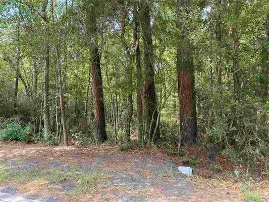 3665 East Railroad Vidor, TX 77662 - Photo 5 of 10 a view of outdoor space and trees