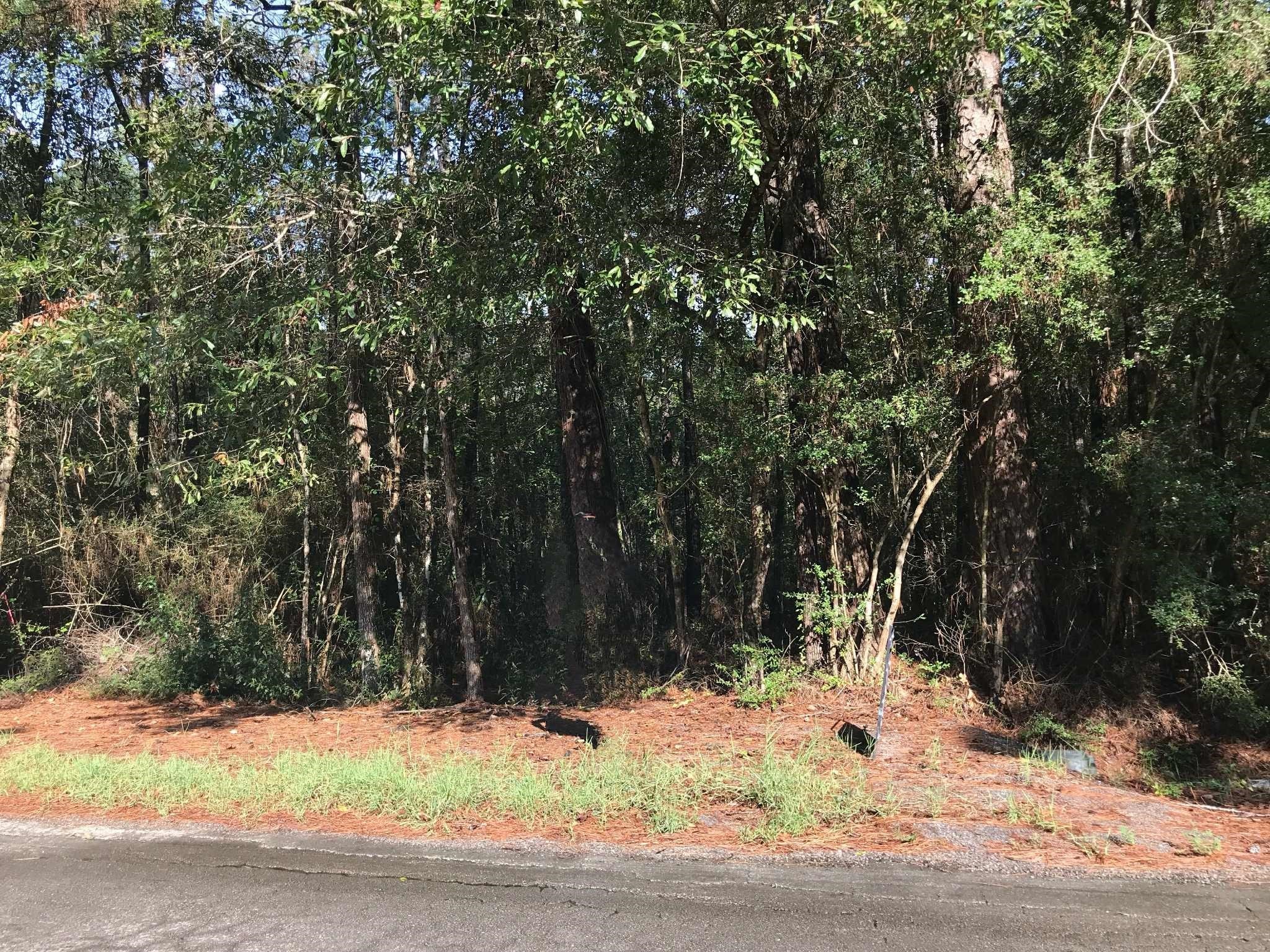 3665 East Railroad Vidor, TX 77662 - Photo 10 of 10 a view of a yard with a tree