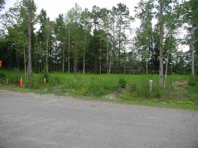 59 Dogwood Road Hemingway, SC 29554 - Photo 1 of 1