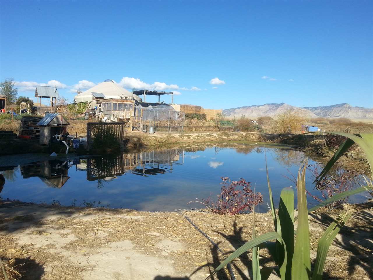 1448 20 Road Fruita, CO 81521 - Photo 17 of 20 a view of a terrace