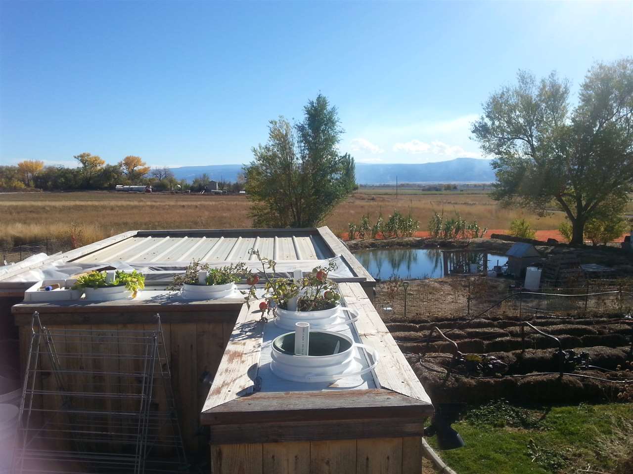 1448 20 Road Fruita, CO 81521 - Photo 18 of 20 a view of a lake with sitting area
