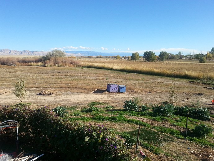 1448 20 Road Fruita, CO 81521 - Photo 20 of 20 a view of a lake from a yard